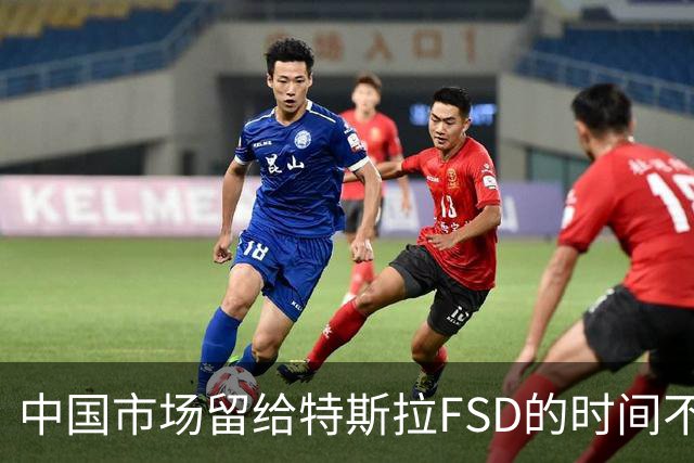 中国市场留给特斯拉FSD的时间不多了？